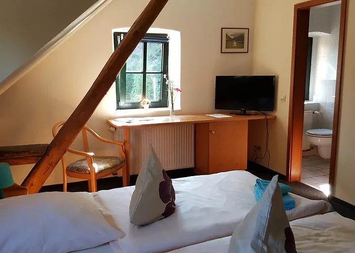 Altes Bierhaus Guest house Arzbach