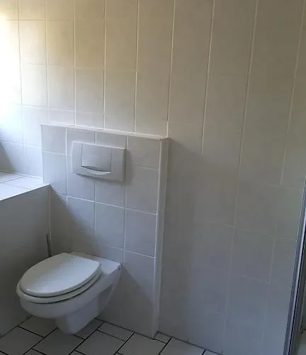 Altes Bierhaus Guest house Arzbach