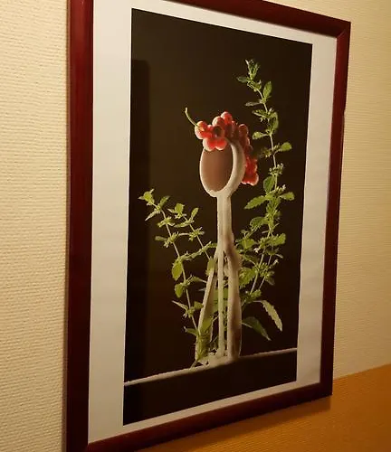 Guest house Altes Bierhaus Arzbach