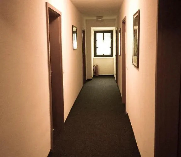 Altes Bierhaus Guest house Arzbach