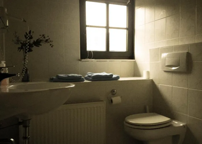 Casa de hóspedes Altes Bierhaus 2*