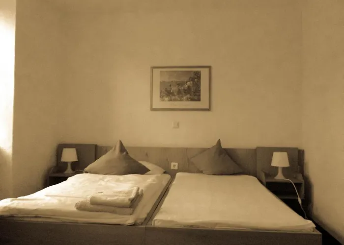 Altes Bierhaus Guest house